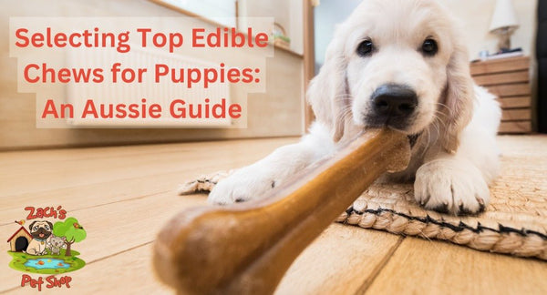 Selecting Top Edible Chews for Puppies: An Aussie Guide - Zach's Pet Shop