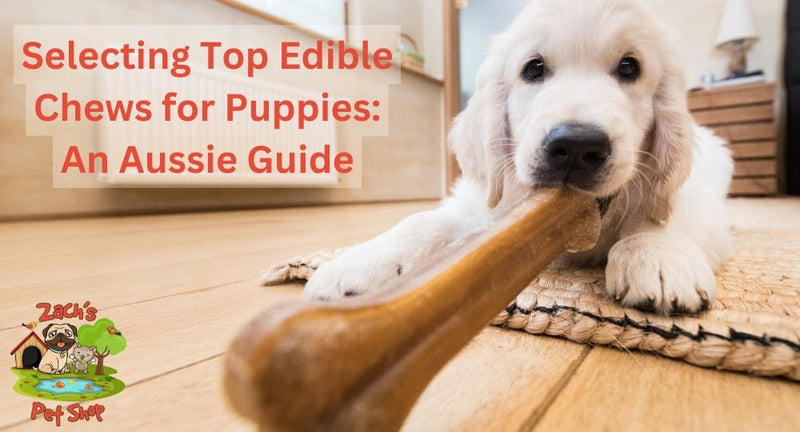 Selecting Top Edible Chews for Puppies An Aussie Guide Zach s Pet Shop