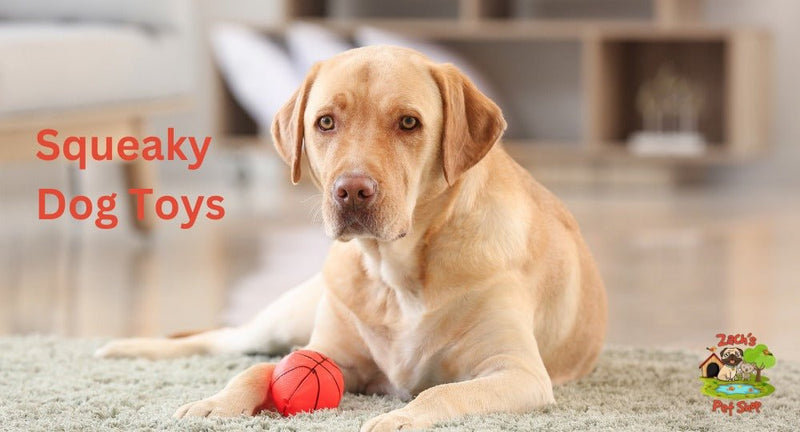 Squeaky Dog Toys: Choosing the Best for Your Aussie Pooch - Zach's Pet Shop