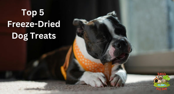 Top 5 Freeze-Dried Dog Treats Your Dog Will Love - Zach's Pet Shop