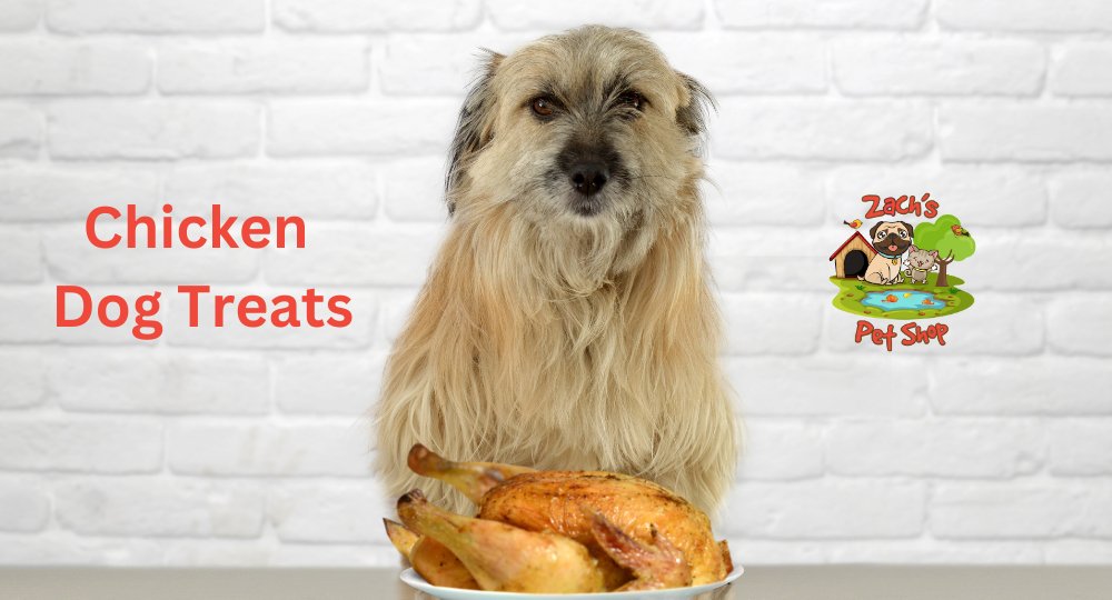 Treat Your Dog with Delicious Nutritious Chicken Dog Treats Zach s Pet Shop Zach s Pet Shop