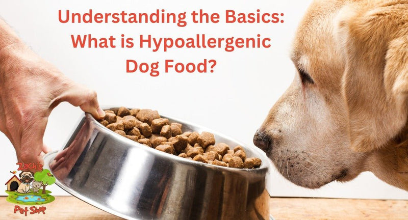 Understanding the Basics What is Hypoallergenic Dog Food Zach s Pet Shop