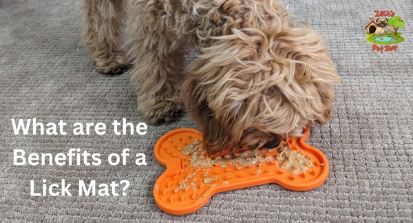 What are the Benefits of a Lick Mat? Are They Worth the Hype? - Zach's Pet Shop