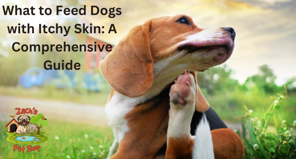 Dog diet for itchy skin hotsell