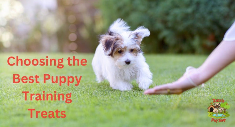 Why Choosing the Best Puppy Training Treats is Important - Zach's Pet Shop