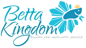 Betta Kingdom