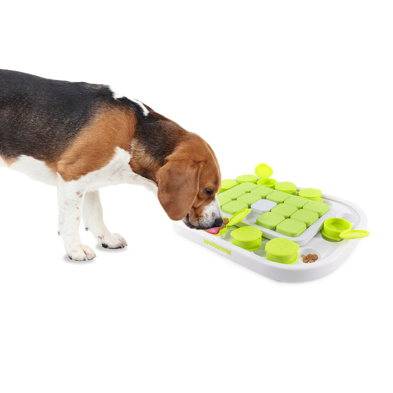 All For Paws Interactives Dog Sokudo Puzzle Toy