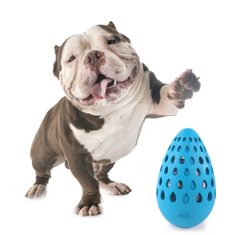 All For Paws Meta Ball Holey Egg Indestructible