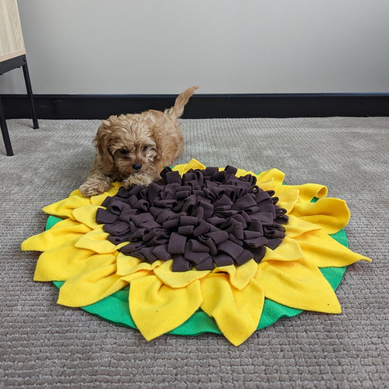 All For Paws Dig It Sunflower Sniffer Mat