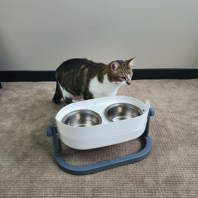 All For Paws Lifestyle 4 Pets 3-in-1 Elevated Food Bowl