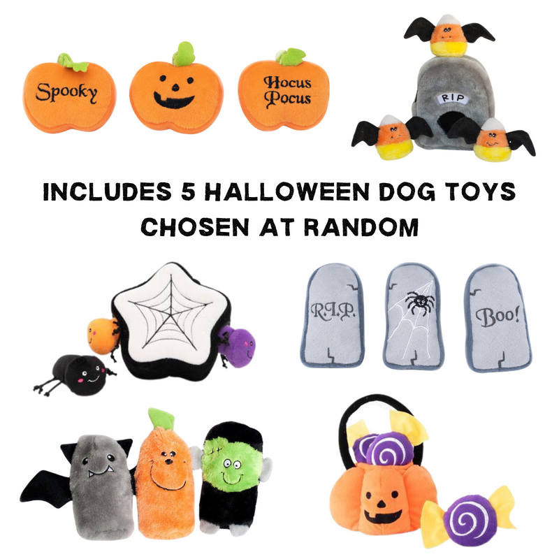Halloween Mystery Dog Toy Box