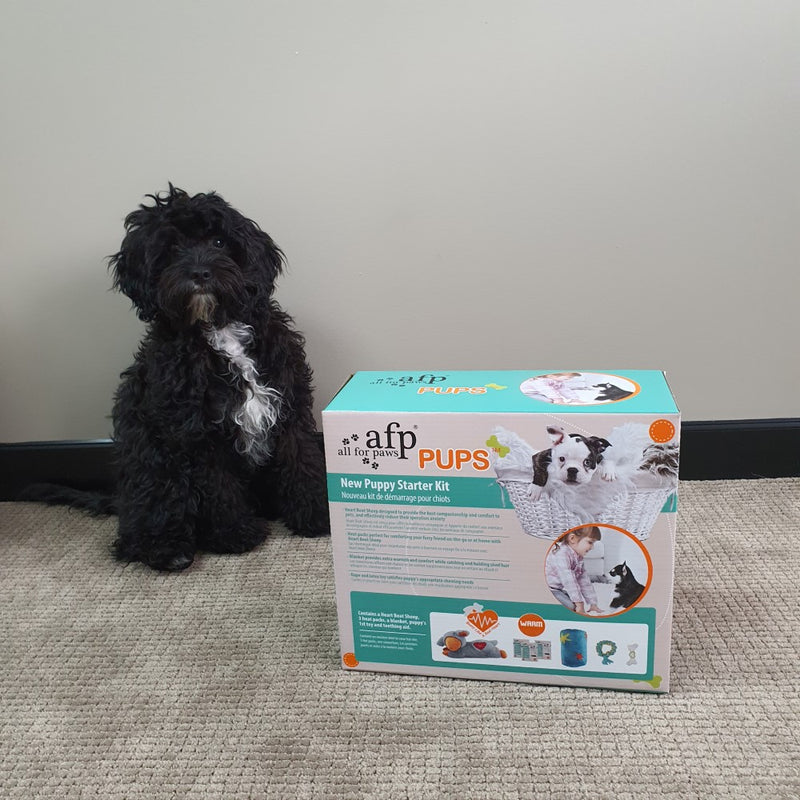 All For Paws Pups New Puppy Starter Kit