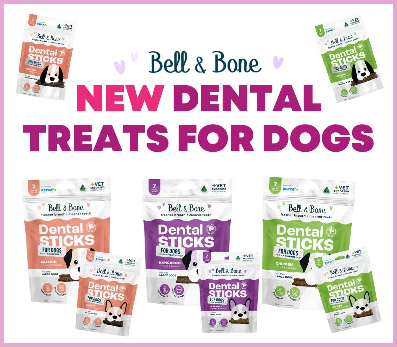 Promotional image of Bell & Bone dental sticks for dogs with packaging displayed.