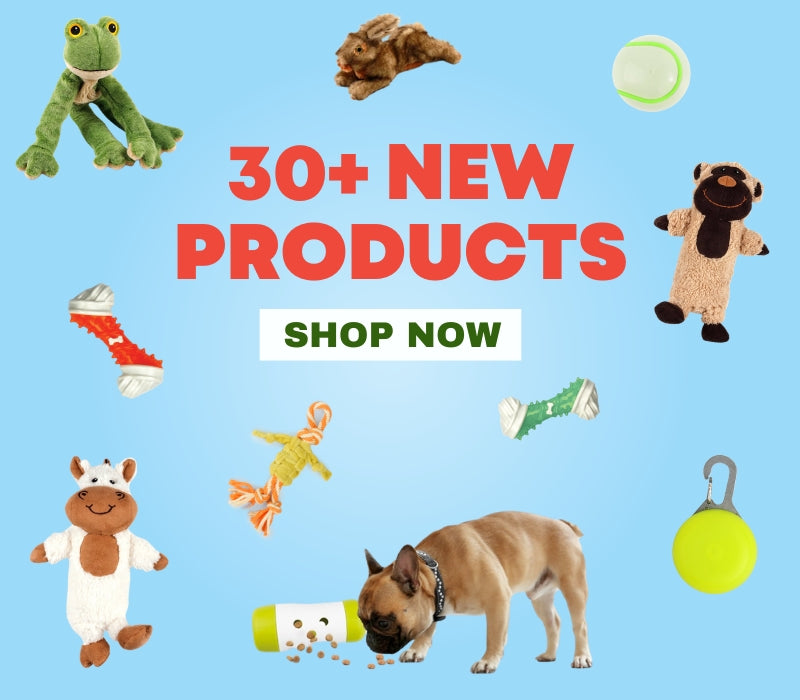 Promotional image with various dog toys and a dog, featuring text '30+ New Products Shop Now' on a blue background.