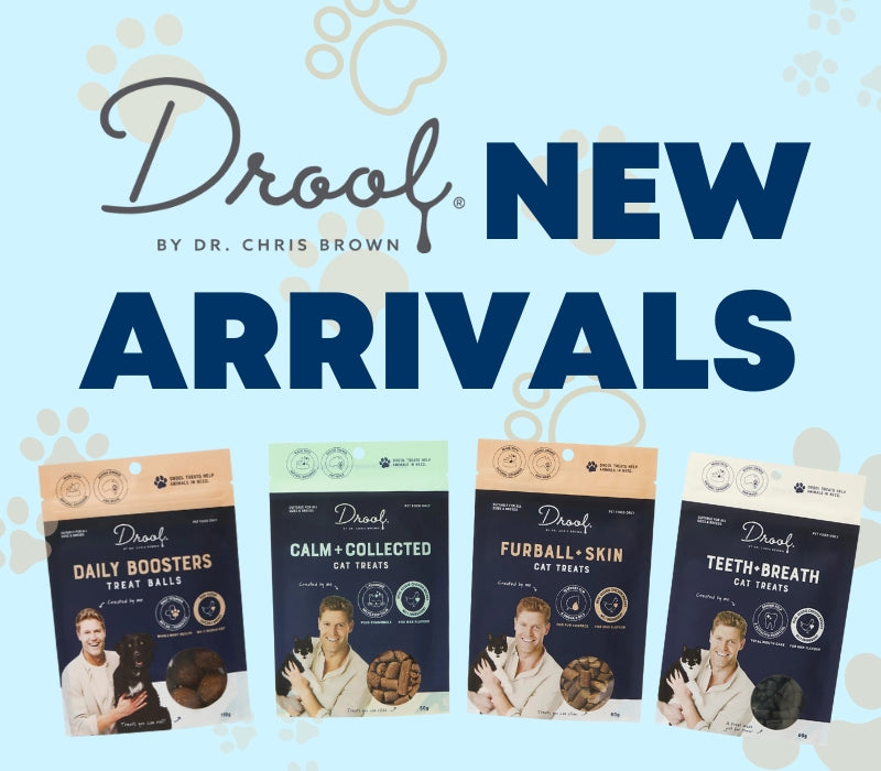 Drool New Arrivals