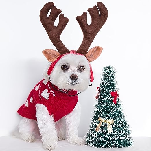Outward Hound Holiday Bell Collar and Antler Combo - Large