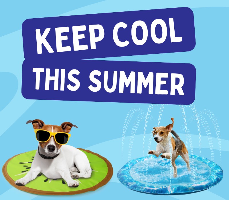 Dogs using cooling mats on blue background with Text to "keep cool this summer"
