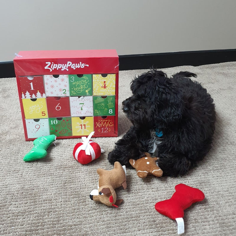 Zippy Paws Christmas Holiday Advent Calendar