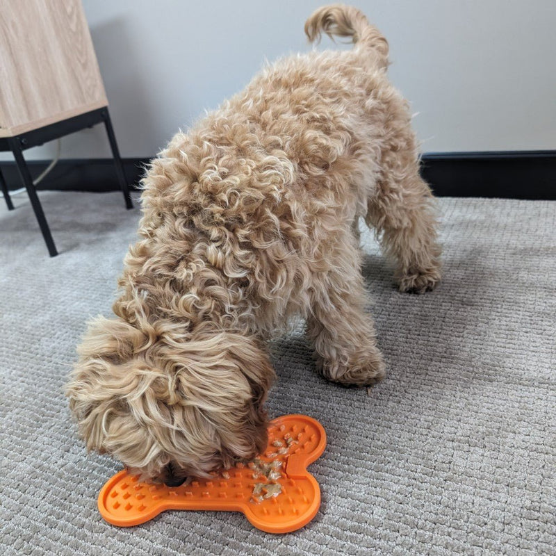 All For Paws Bone Appetit Tasty Bone Lick Mat - Zach's Pet Shop