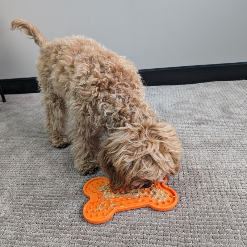 All For Paws Bone Appetit Tasty Bone Lick Mat - Zach's Pet Shop