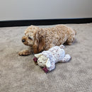 All For Paws Calming Pals Lavender Scented Sheep - Zach's Pet Shop