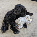 All For Paws Calming Pals Lavender Scented Sheep - Zach's Pet Shop