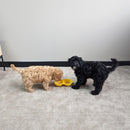 All For Paws Calming Pals Peanut Shake - Zach's Pet Shop