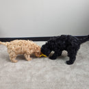 All For Paws Calming Pals Peanut Shake - Zach's Pet Shop