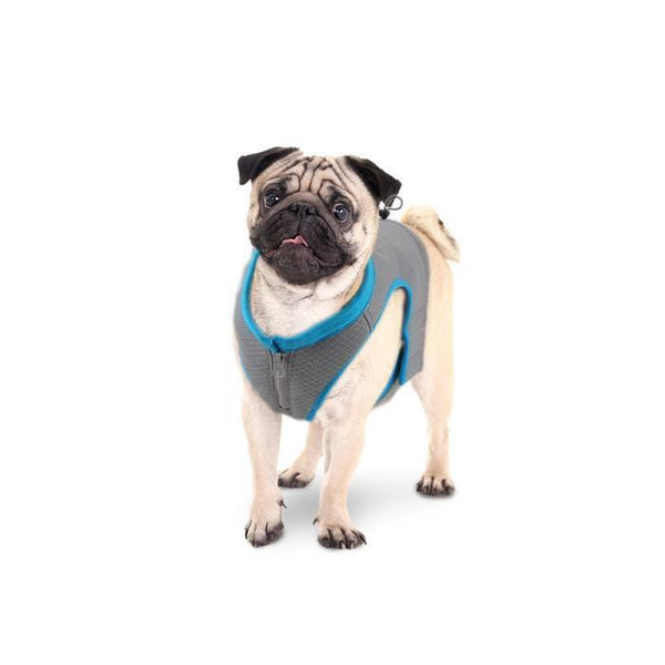 All For Paws Chill Out Cooling Vest - Zach's Pet Shop