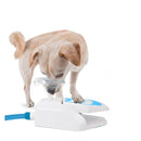 All For Paws Chill Out Garden Water Fountain - Zach's Pet Shop