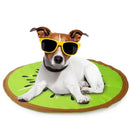 All For Paws Chill Out Kiwi Cooling Mat - Zach's Pet Shop