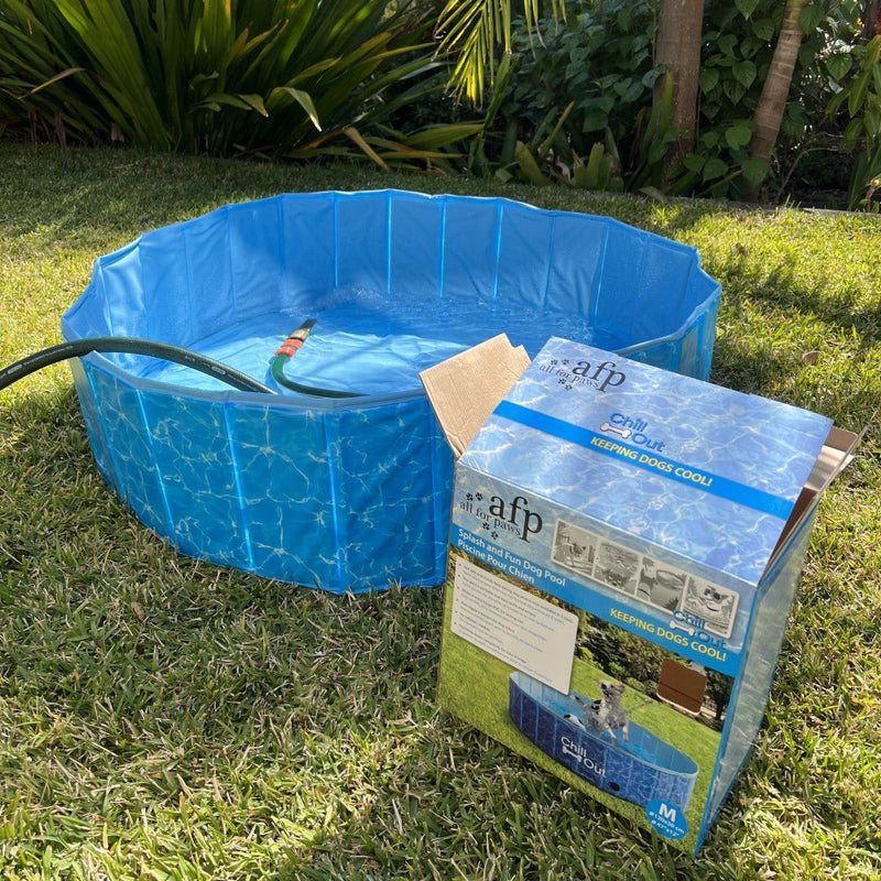 All For Paws Chill Out Splash And Fun Dog Pool - Zach's Pet Shop