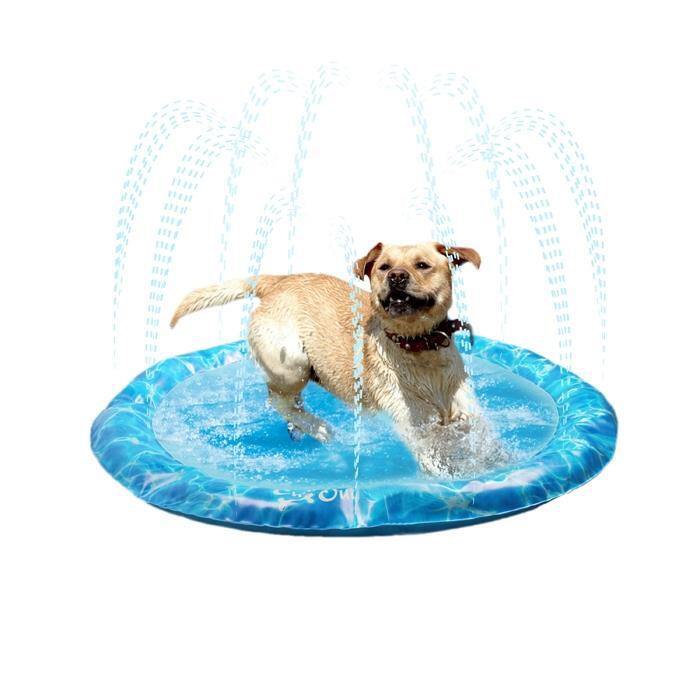 All For Paws Chill Out Sprinkler Fun Mat - Zach's Pet Shop