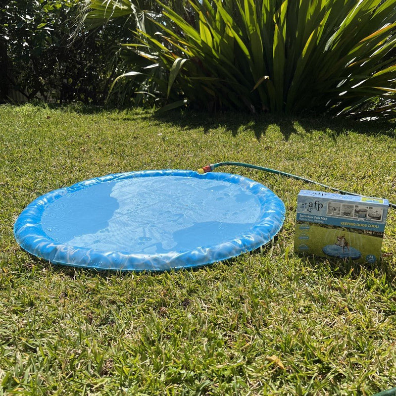 All For Paws Chill Out Sprinkler Fun Mat - Zach's Pet Shop