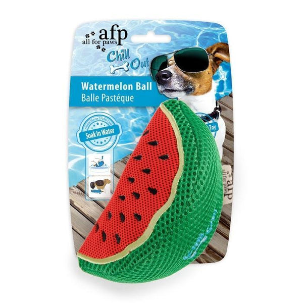 All For Paws Chill Out Watermelon Slice - Zach's Pet Shop