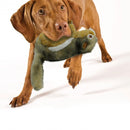 All For Paws Classic Chipmunk - Zach's Pet Shop