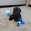 All For Paws Dental Chews Chew Jack - Zach's Pet Shop