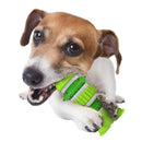 All For Paws Dental Chews Dental Frog - Zach's Pet Shop