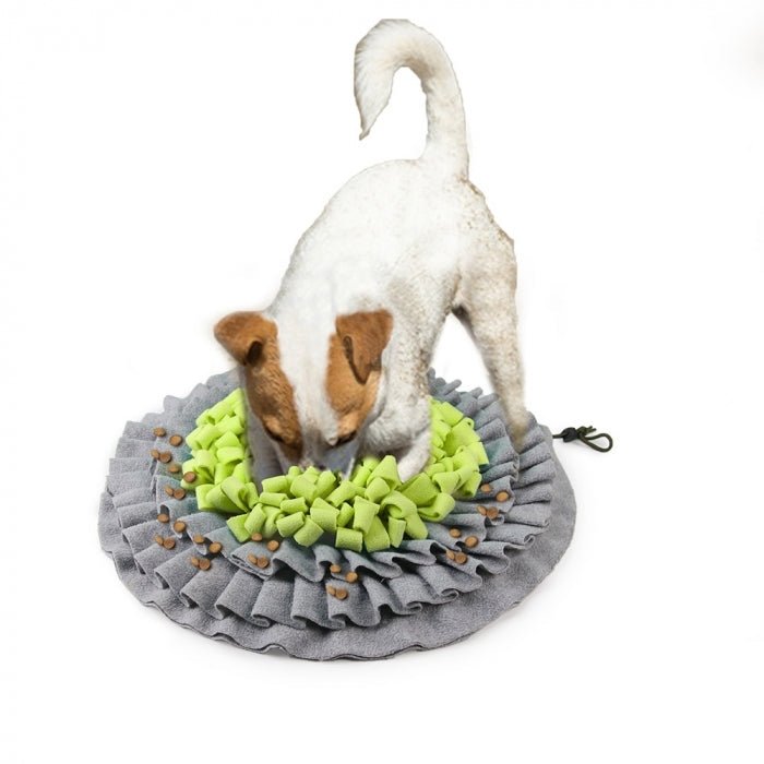 All For Paws Dig It Foldable Treat Mat - Zach's Pet Shop