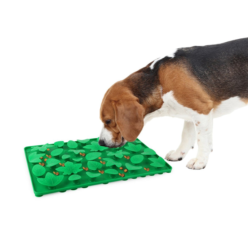 All For Paws Dig It Jungle Digmat - Zach's Pet Shop