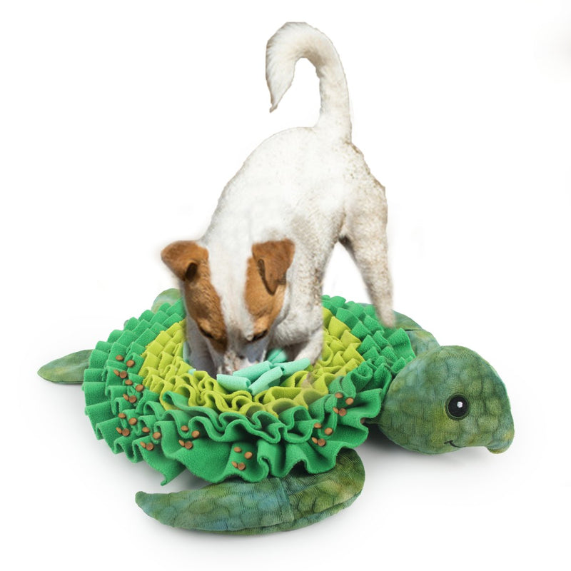 All For Paws Dig It Sea Turtle Treat Mat - Zach's Pet Shop