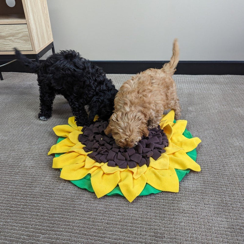 All For Paws Dig It Sunflower Sniffer Mat - Zach's Pet Shop