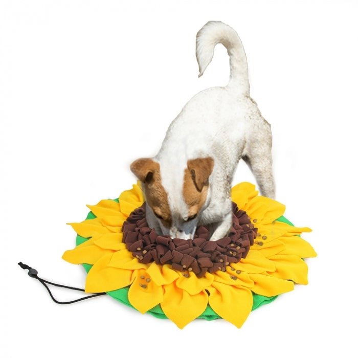 All For Paws Dig It Sunflower Sniffer Mat - Zach's Pet Shop