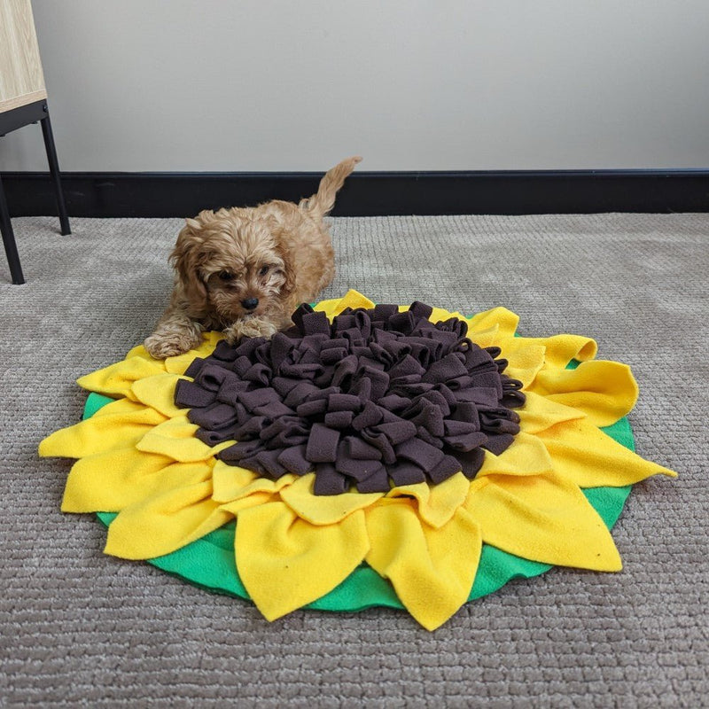 All For Paws Dig It Sunflower Sniffer Mat - Zach's Pet Shop