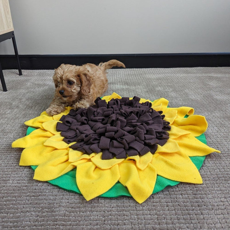 All For Paws Dig It Sunflower Sniffer Mat - Zach's Pet Shop