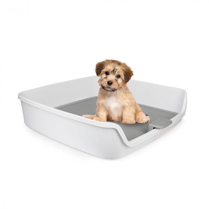 All For Paws Go Fresh Dog Pee Pad Holder - Zach's Pet Shop