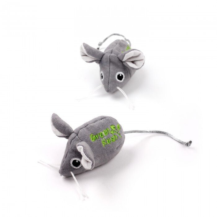 All For Paws Green Rush Catnip Mice - Zach's Pet Shop