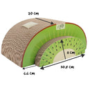 All For Paws Green Rush Kiwi Scratcher Set of 2 - Zach's Pet Shop