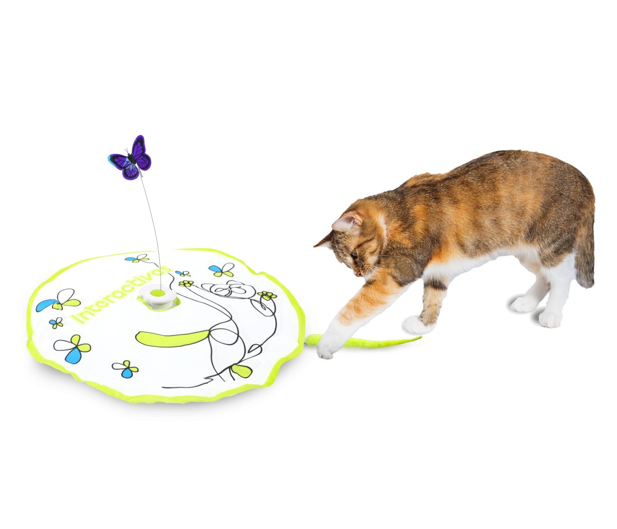 All For Paws Interactives Flutter Bug With Hide-N-Seek