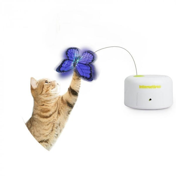 All For Paws Interactives Motion Activated Butterfly - Zach's Pet Shop